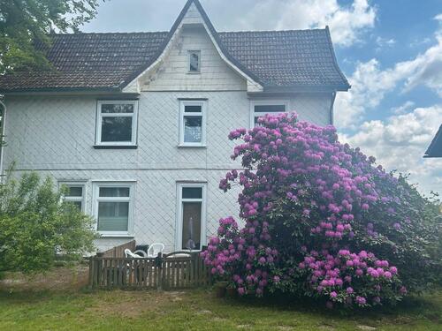 Foto - Vermiete wunderschöne 3-Zimmerwohnung per sofort