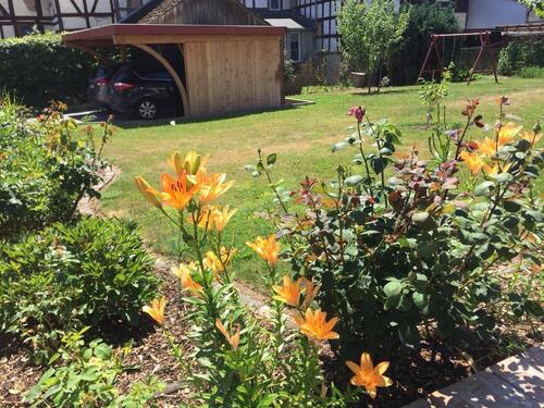 Foto - 3 Zimmer Erdgeschoßwohnung in Allendorf (Eder)