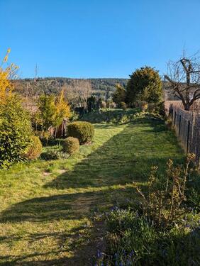 Foto - Dachgeschoßwohnung in Wenzenbach zur Miete