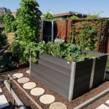 Foto - Grundst&uuml;ck in Dresden zur Miete