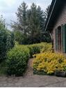 Foto - Mehrfamilienhaus, Wohnhaus in Düren zum Kaufen