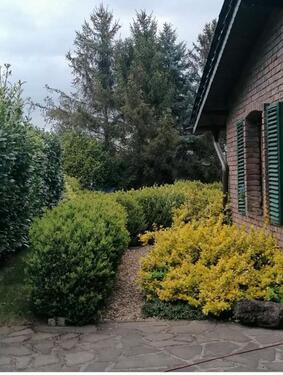 Foto - Mehrfamilienhaus, Wohnhaus in Düren zum Kaufen