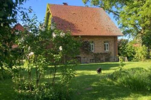 Foto - 6 Zimmer Einfamilienhaus zur Miete in Natendorf