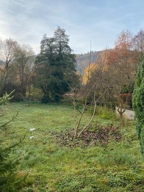 Foto - Einfamilienhaus in Kelkheim (Taunus) zum Kaufen
