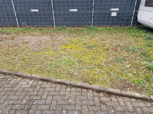 Foto - andere in Neuss