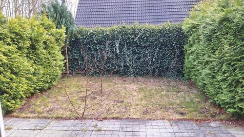 Foto - 