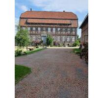 Ferienwohnung auf historischer Hofstelle……..auch mit HundPferd! - Liebenburg