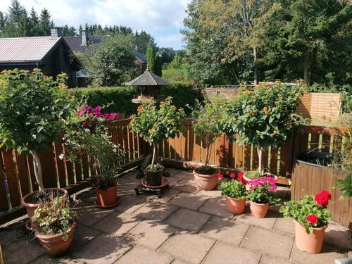Foto - Einfamilienhaus in Kall zum Kaufen
