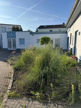 Foto - andere in Hemmingen