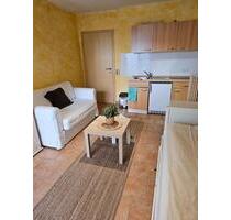 Single-Apartment (Kur- oder Langzeitmiete) zentral Geisenheim