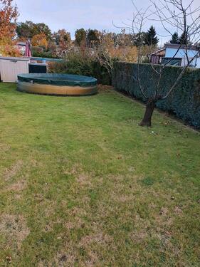 Foto - Grundst&uuml;ck in Brandenburg an der Havel