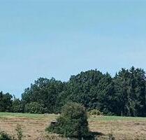 Hangwiese für Schafe oder Alpakas - Waging am See Fisching