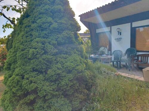 Foto - Garten ca. 400 qm im Kleingartenverein