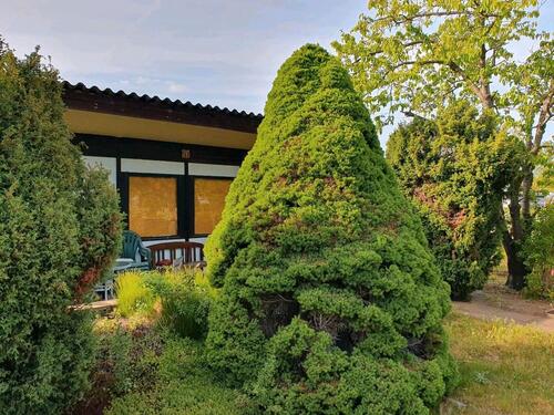 Foto - Grundst&uuml;ck in Brandenburg an der Havel zur Miete