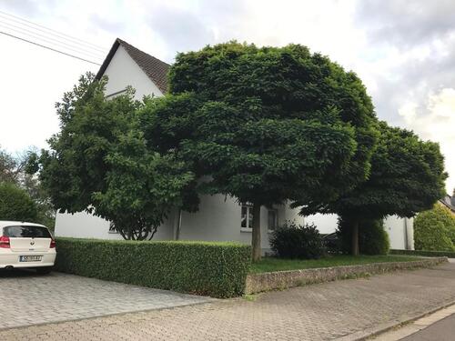 Foto - Etagenwohnung zur Miete in Saarlouis
