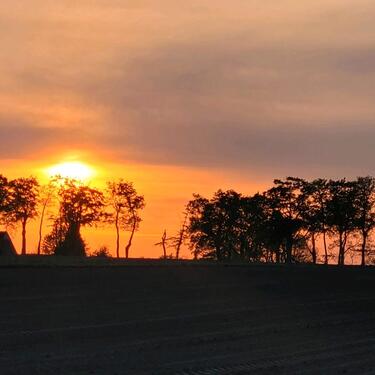 Foto - andere in Wiefelstede zur Miete