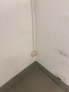 Foto - andere in Köln zur Miete