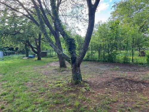 Foto - Grundst&uuml;ck in Heidelberg zur Miete