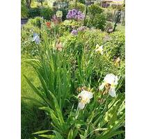 Garten in Kleingartenanlage - 5.000,00 EUR Kaltmiete, ca.  0,00 m² in Luckenwalde (PLZ: 14943)