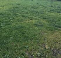 Wohnung zu vermieten - 1.100,00&nbsp;EUR Kaltmiete, ca.&nbsp; 100,00&nbsp;m&sup2; in Zweiflingen (PLZ: 74639)