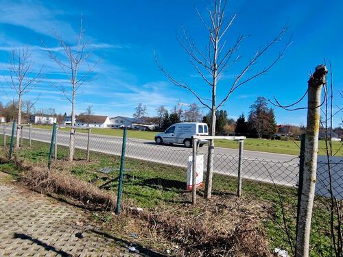 Foto - andere in Memmingen zur Miete