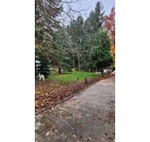 Freistehendes Häuschen mit Garten -vielseitig nutzbar für Gewerbe - Bernhardswald