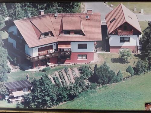 Foto - 