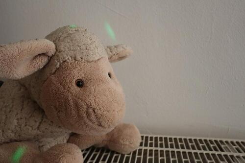 Foto - andere in Regensburg