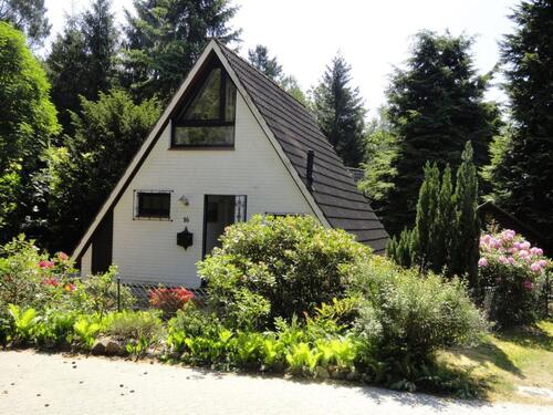 Foto - Weihnachten in der Lüneburger Heide, Ferienhaus, Hund möglich
