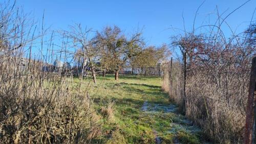 Foto - 4 Zimmer Einfamilienhaus in Hörselberg-Hainich