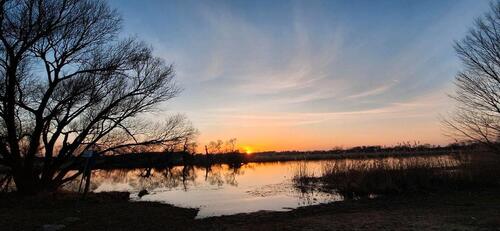 Foto - Wochenendbungalow im Naturidyll mit direktem Havelblick
