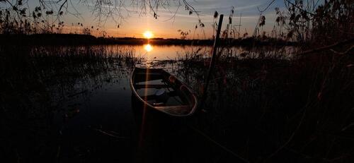 Foto - 2 Zimmer Bungalow in Milower Land