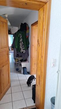 Foto - Etagenwohnung in Steimel zur Miete
