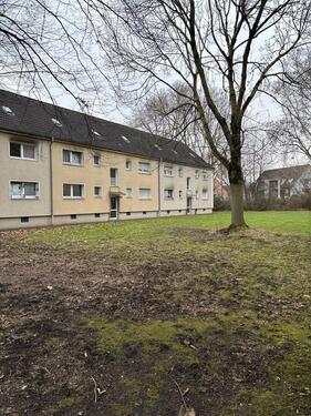 Foto - 2.5 Zimmer Erdgeschoßwohnung zur Miete in Essen