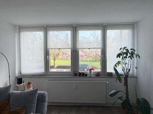 Foto - 2 Zimmer Erdgeschoßwohnung in Magdeburg