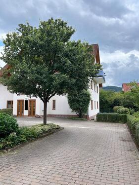 Foto - 4 Zimmer Etagenwohnung in Bürgstadt