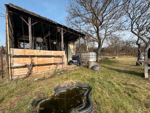 Foto - Idyllischer Kleingarten im schönen Salzatal an den Weinbergen