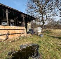 Idyllischer Kleingarten im schönen Salzatal an den Weinbergen