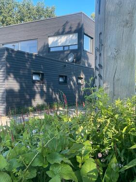 Foto - 8 Zimmer Einfamilienhaus in Barmstedt