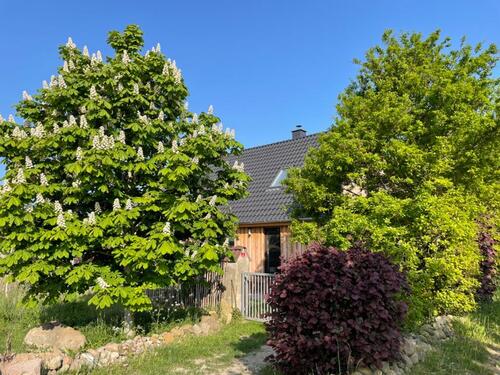 Foto - EINZIGARTIG absolute Alleinlage Einfamilienhaus zum Verkauf