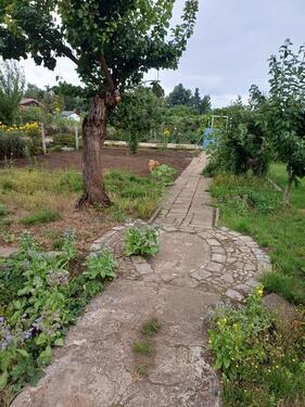 Foto - Kleingarten mit Laube in Stadtfeld Ost