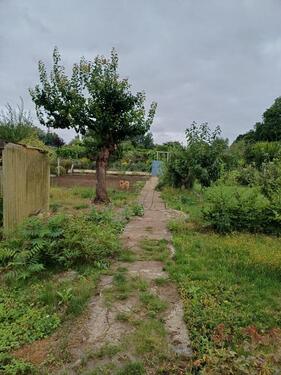 Foto - Grundst&uuml;ck in Magdeburg