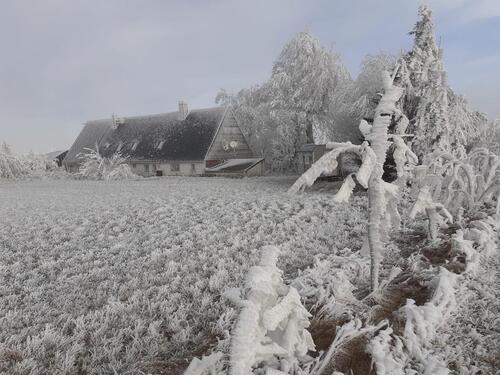 Foto - Bauernhaus, Landhaus in Altenberg zum Kaufen