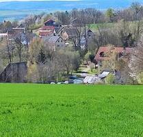 Schönes 1-Zimmer-Apartment mit Balkon, teilmöbliert zu vermieten - Neuenmarkt