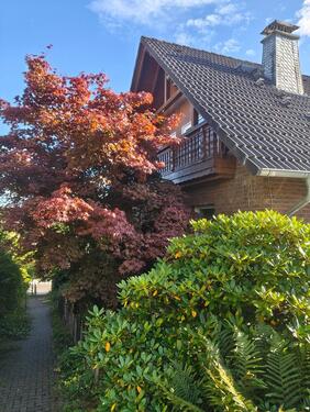 Foto - Einfamilienhaus in Wiehl