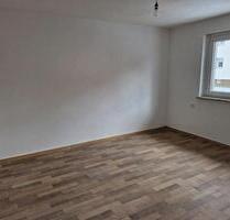Großzügige 57 m² Wohnung mit Kaminofen - Presseck Braunersreuth