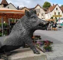 Vermiete 55m2 Wohnung in Kirchheimbolanden - Steinbach am Donnersberg