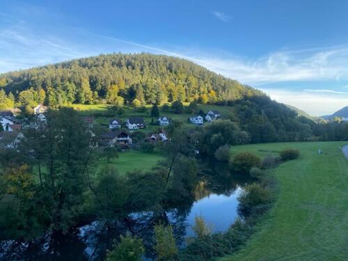 Foto - Schöne und modernisierte 3-Raum-DG-Wohnung mit Balkon in Calw