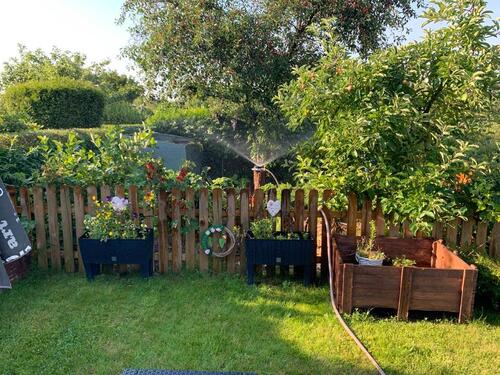 Foto - Schrebergarten in Schleswig-Holstein Einfeld