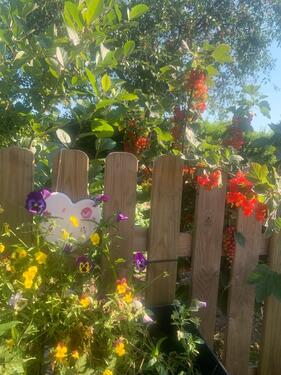 Foto - Grundstück in Tasdorf